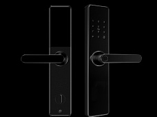 青松沃德-Wi-Fi 指紋鎖家用防盜門智能門鎖密碼鎖刷卡電子鎖 防磁干擾 防撬 L9-WT (不含鎖體，鎖體需另購）